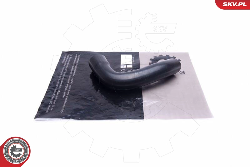 24SKV569