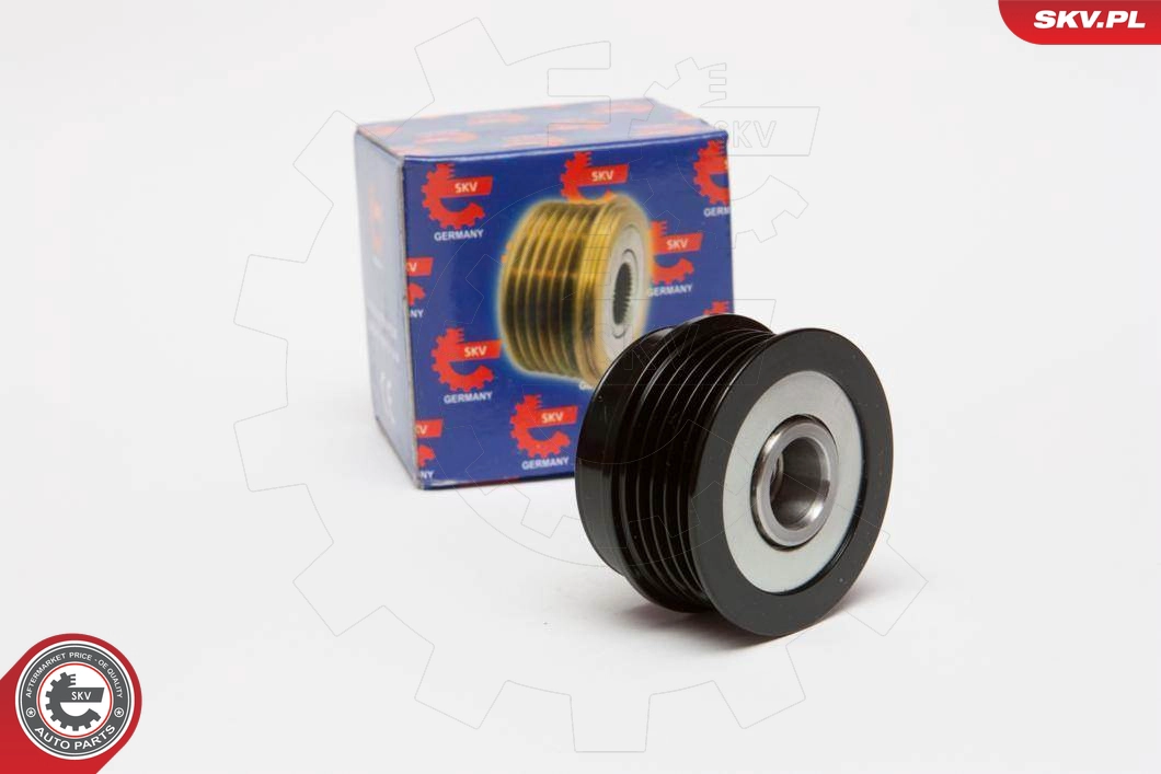 11SKV003