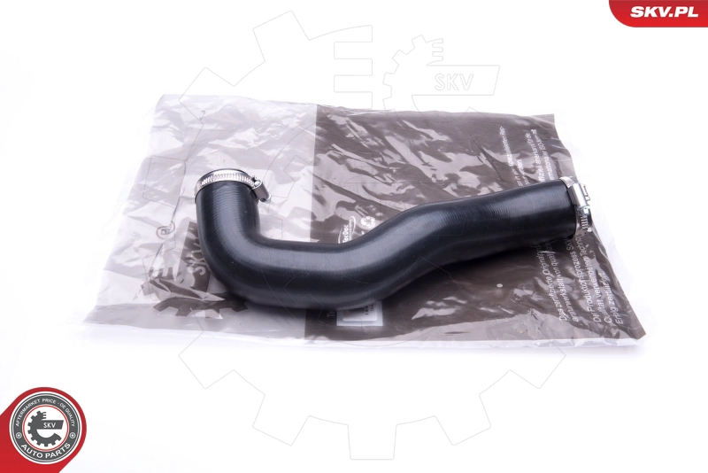 24SKV839