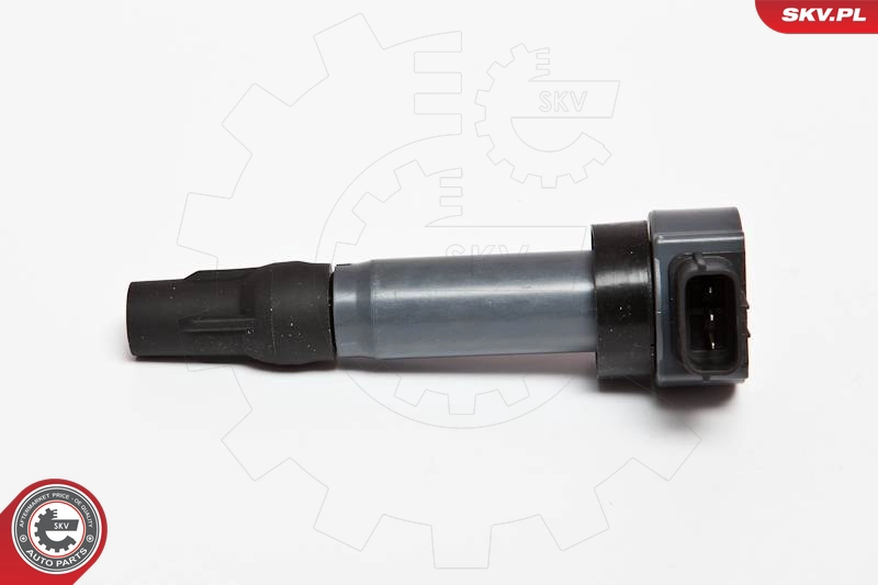 03SKV198