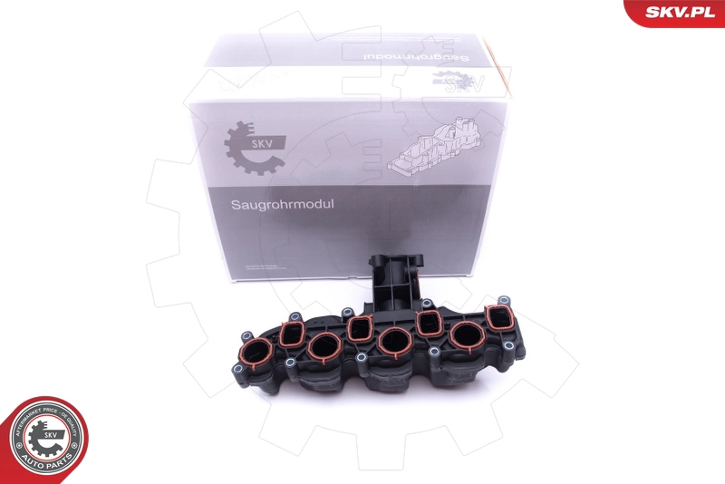 49SKV008