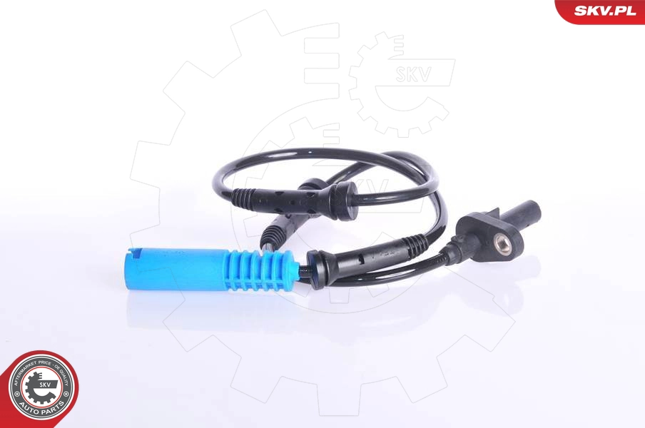 06SKV079