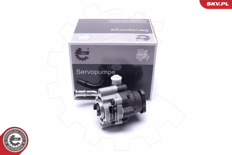 10SKV295