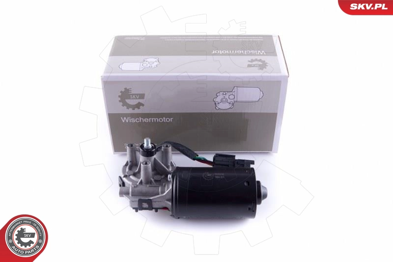 19SKV161