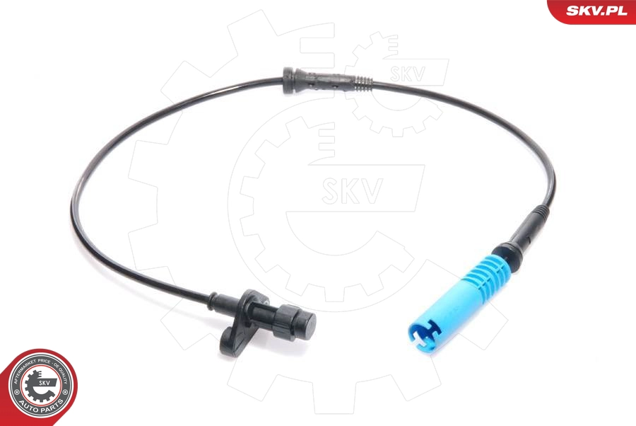 06SKV018