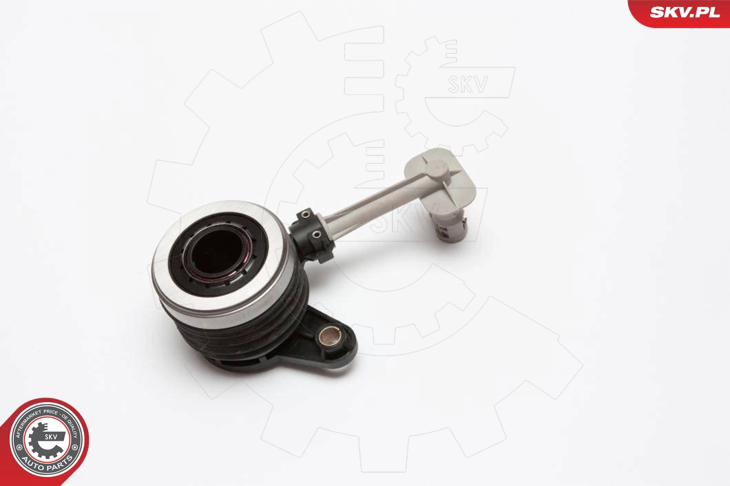 13SKV013