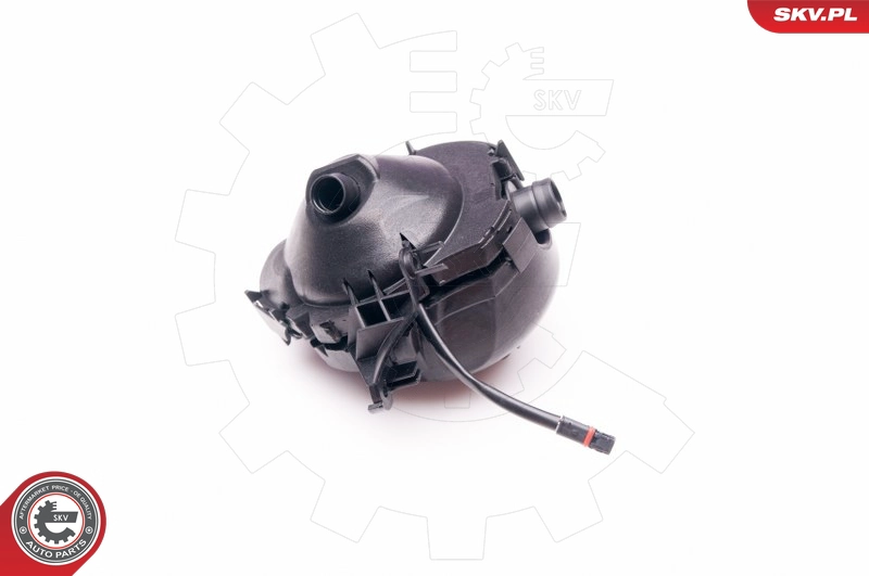 31SKV043
