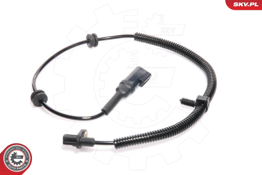 06SKV069