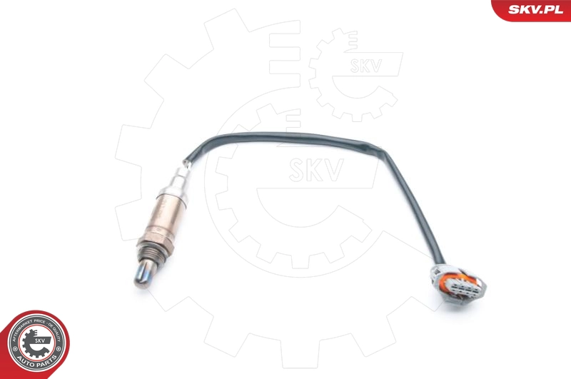 09SKV674