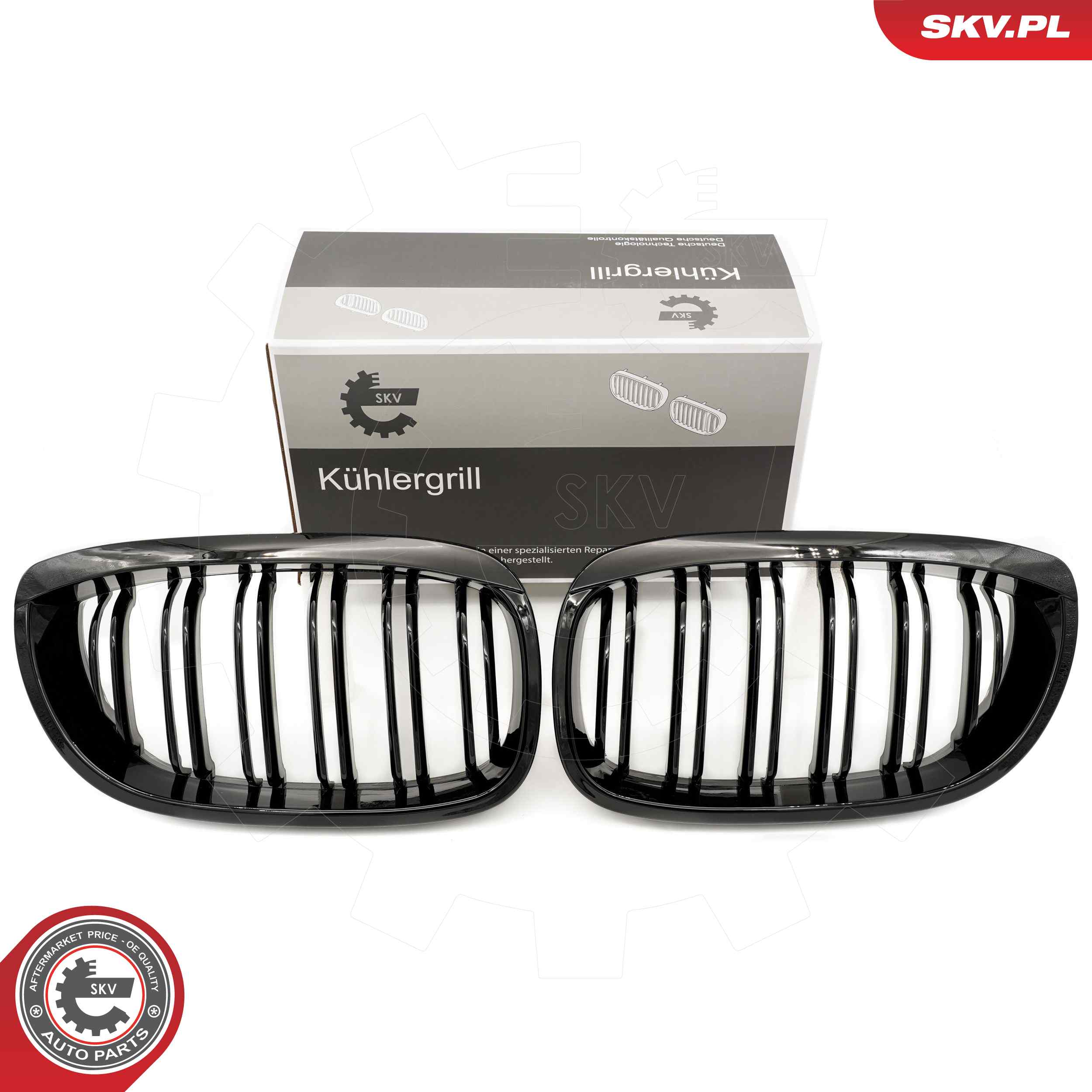 66SKV073