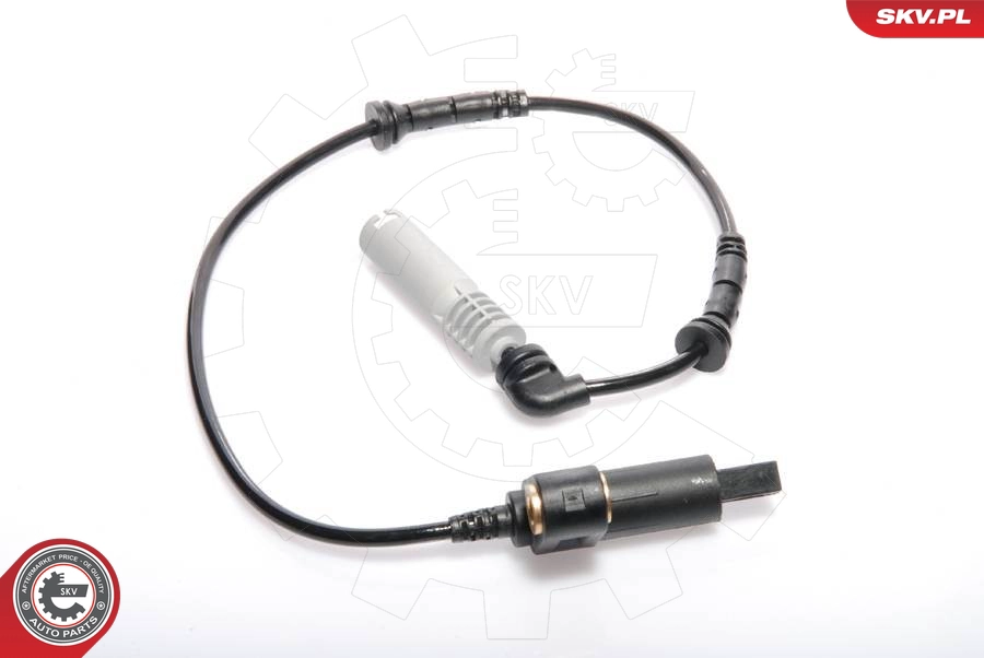 06SKV037