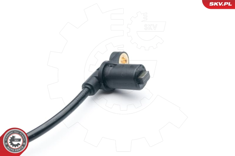 06SKV302