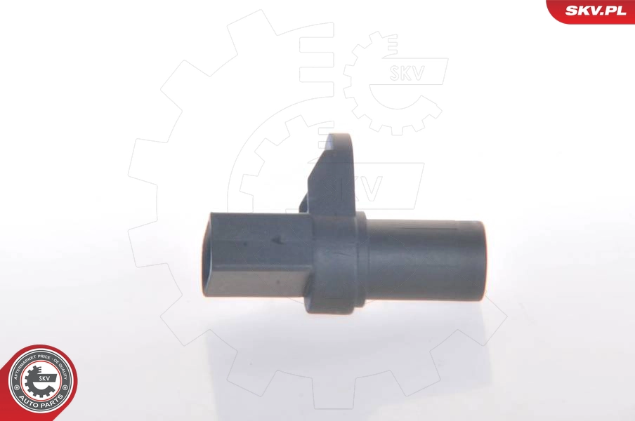 17SKV232