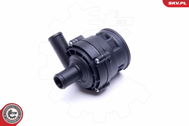 22SKV024