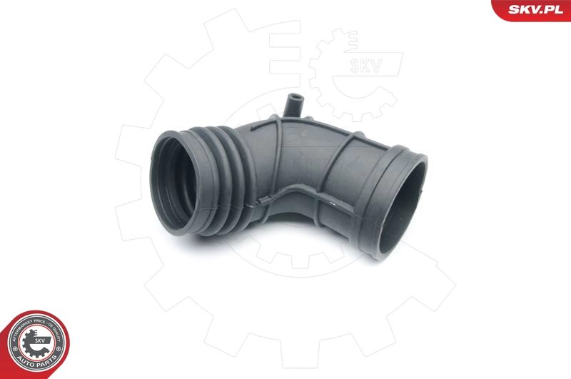 24SKV405