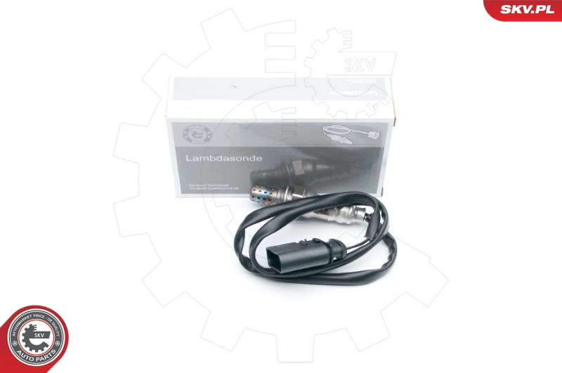 09SKV620