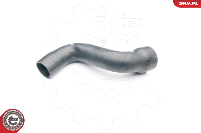 24SKV118