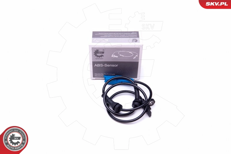 06SKV385