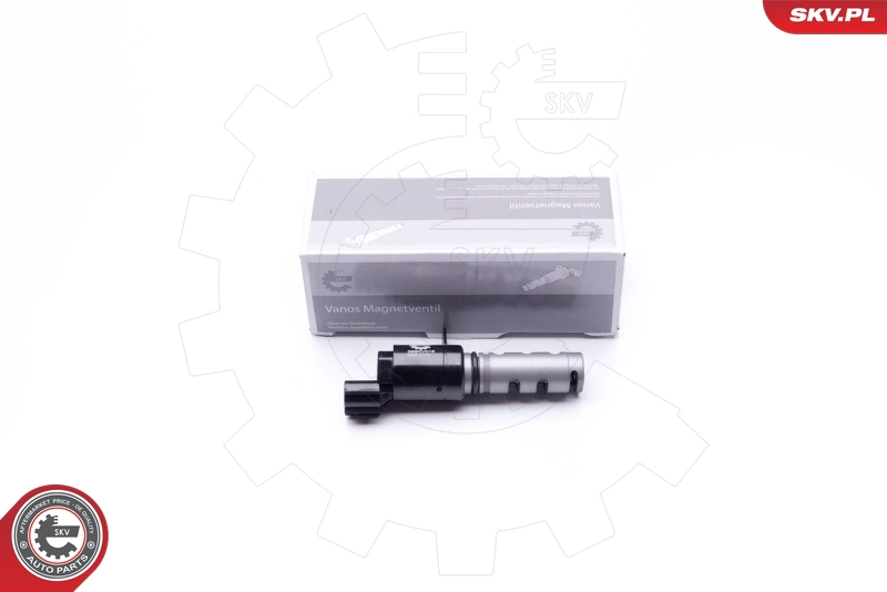 39SKV018