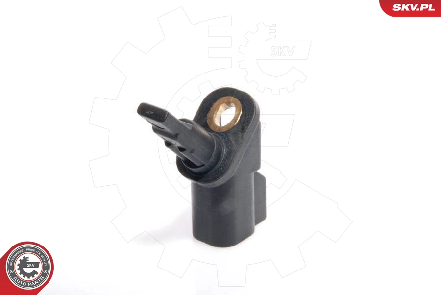 06SKV001