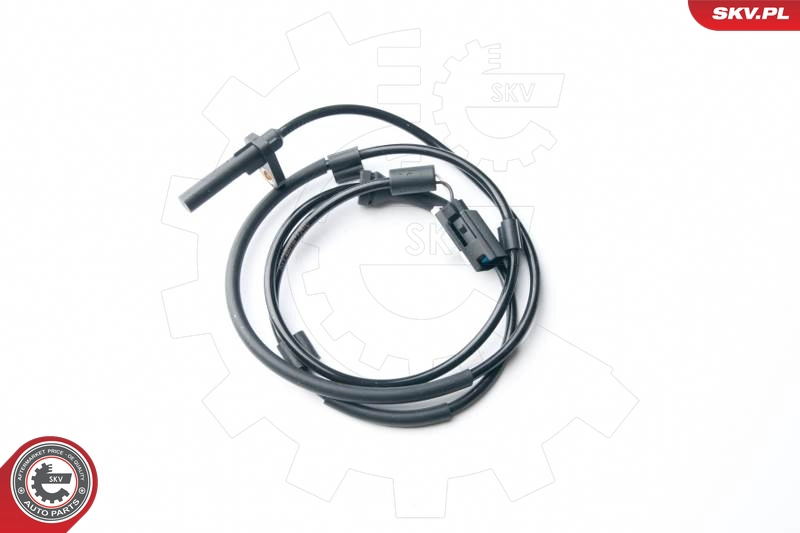 06SKV243
