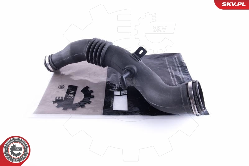 43SKV298