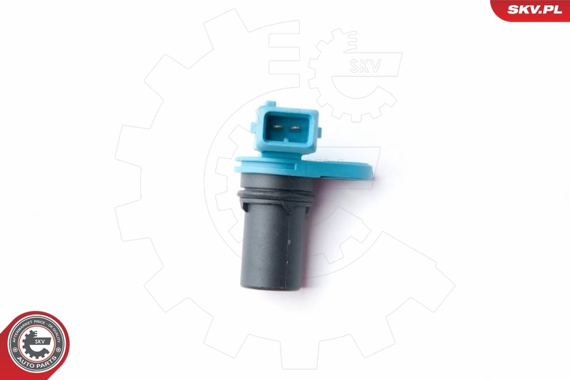 17SKV258