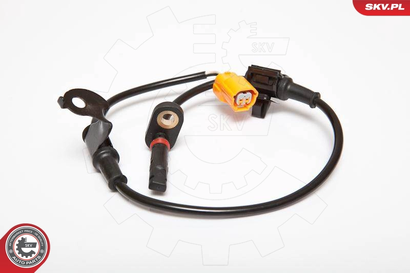06SKV175