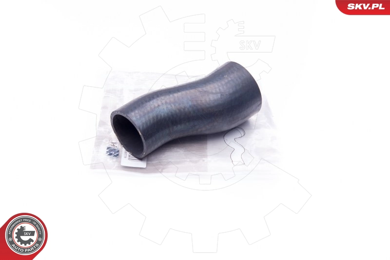 24SKV709