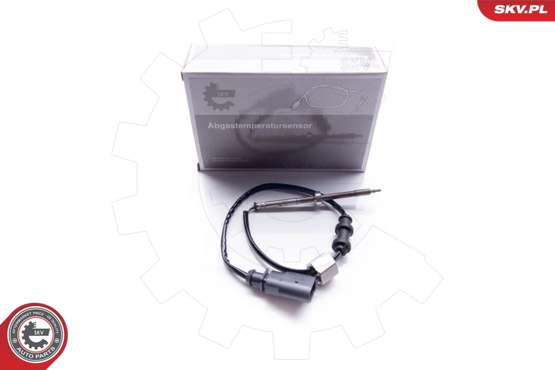 30SKV029