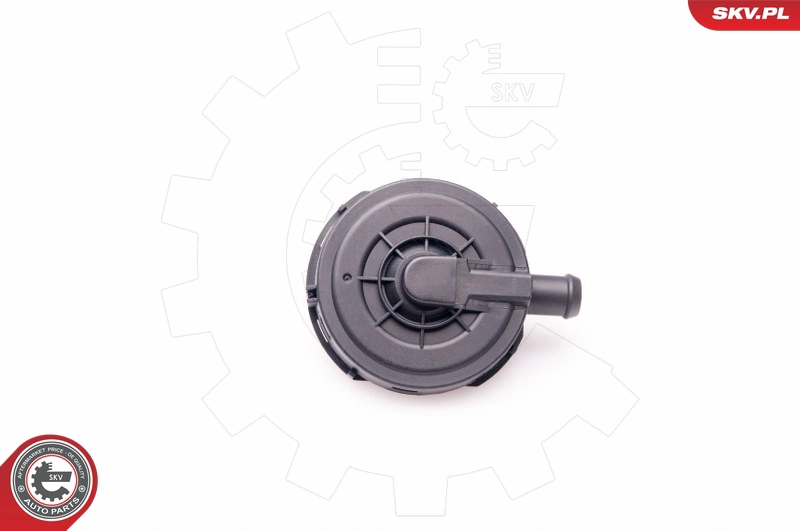31SKV023