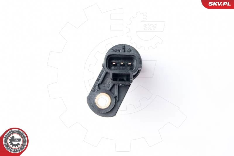 17SKV308