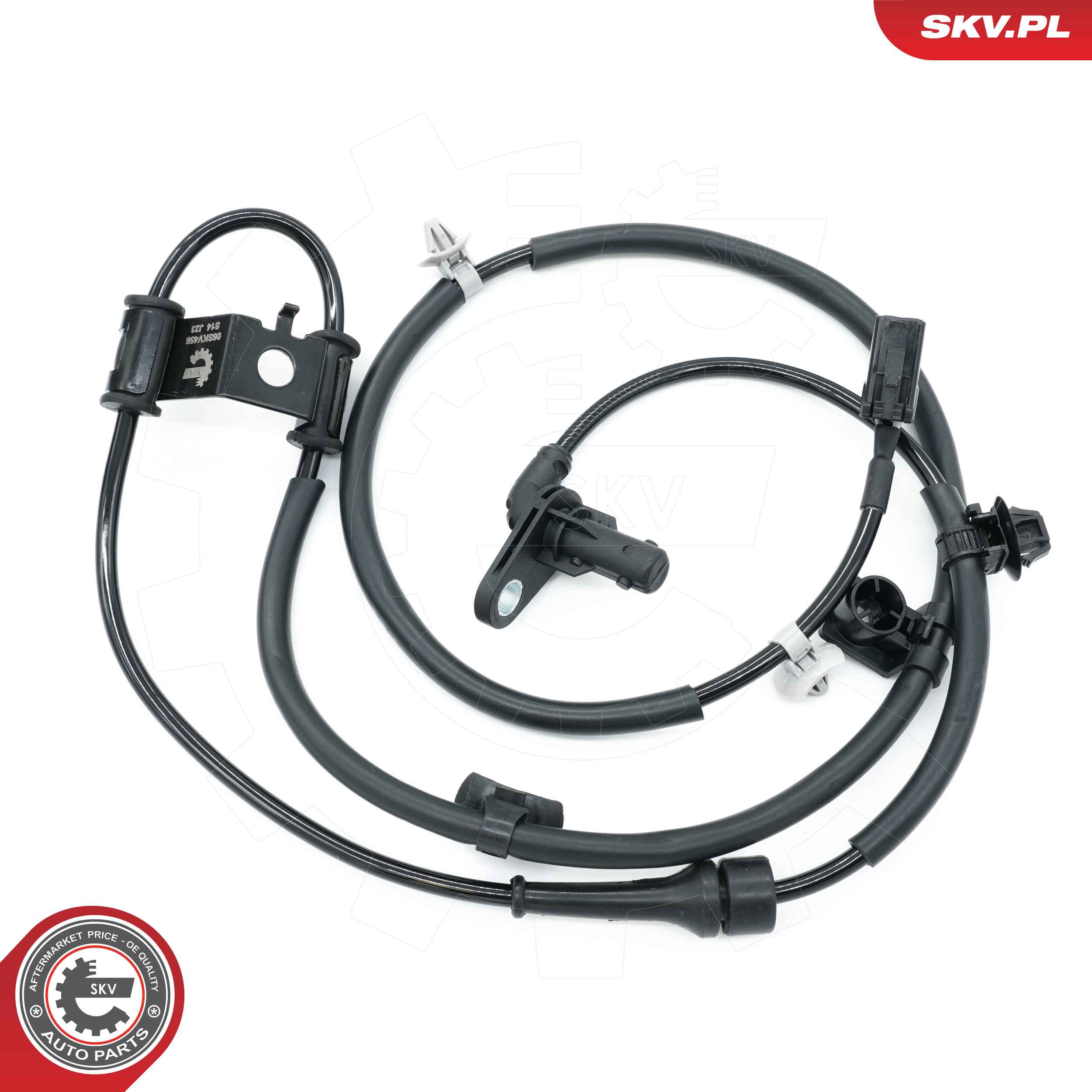 06SKV456