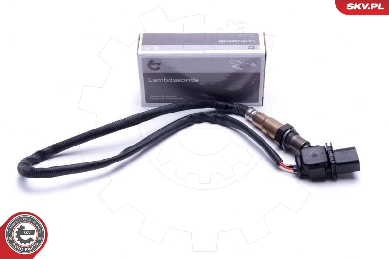 09SKV403