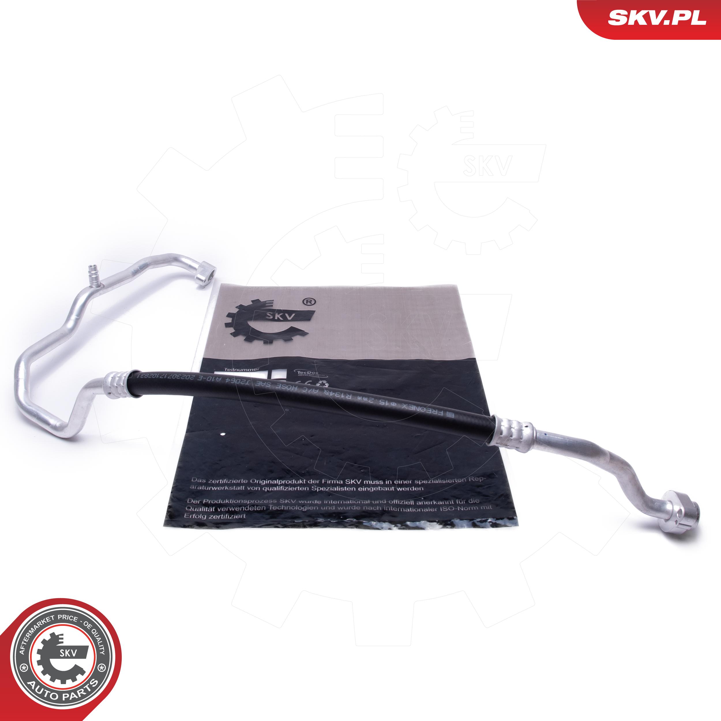 54SKV731