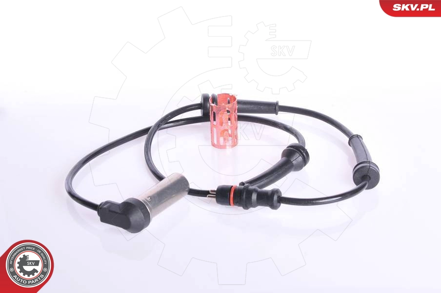 06SKV133