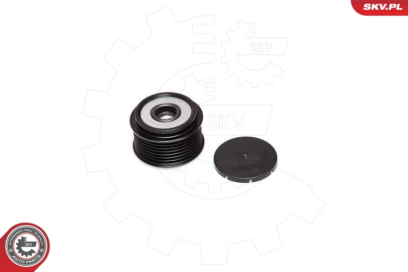 11SKV028