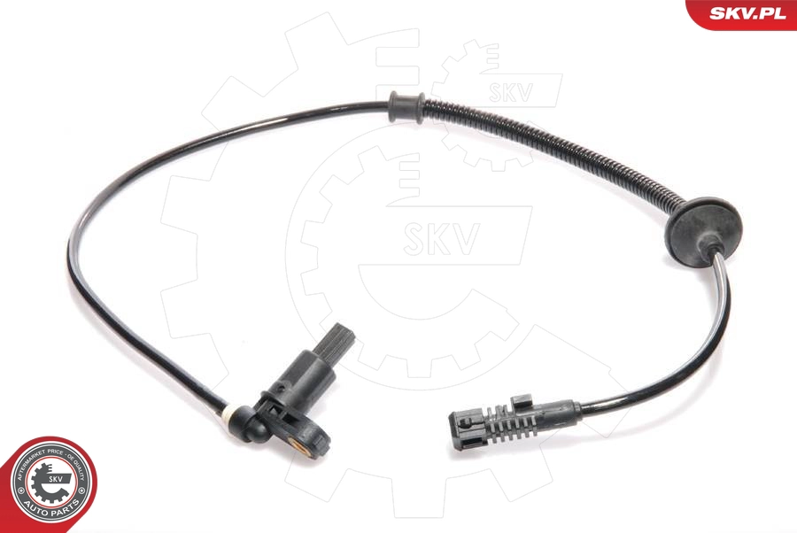 06SKV094
