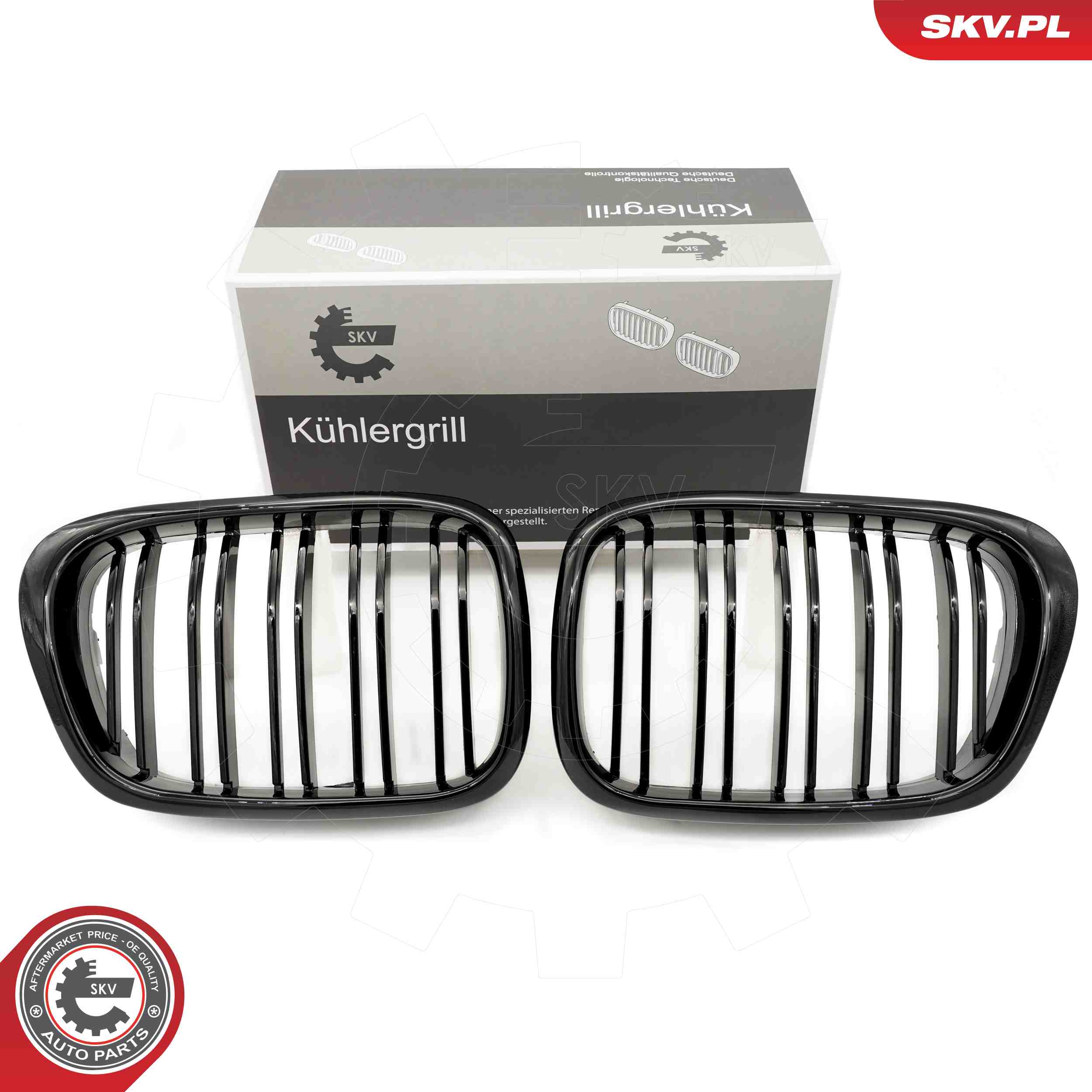 66SKV161