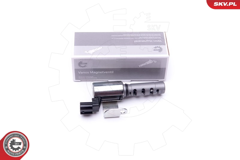 39SKV055