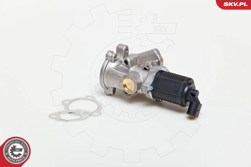 14SKV039