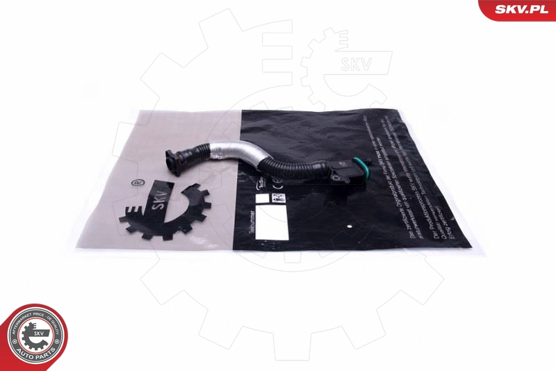 54SKV039