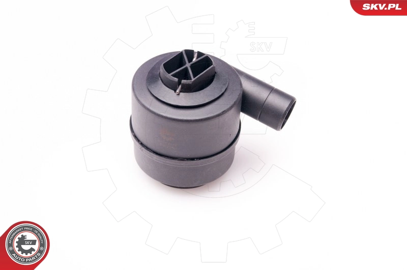 31SKV015