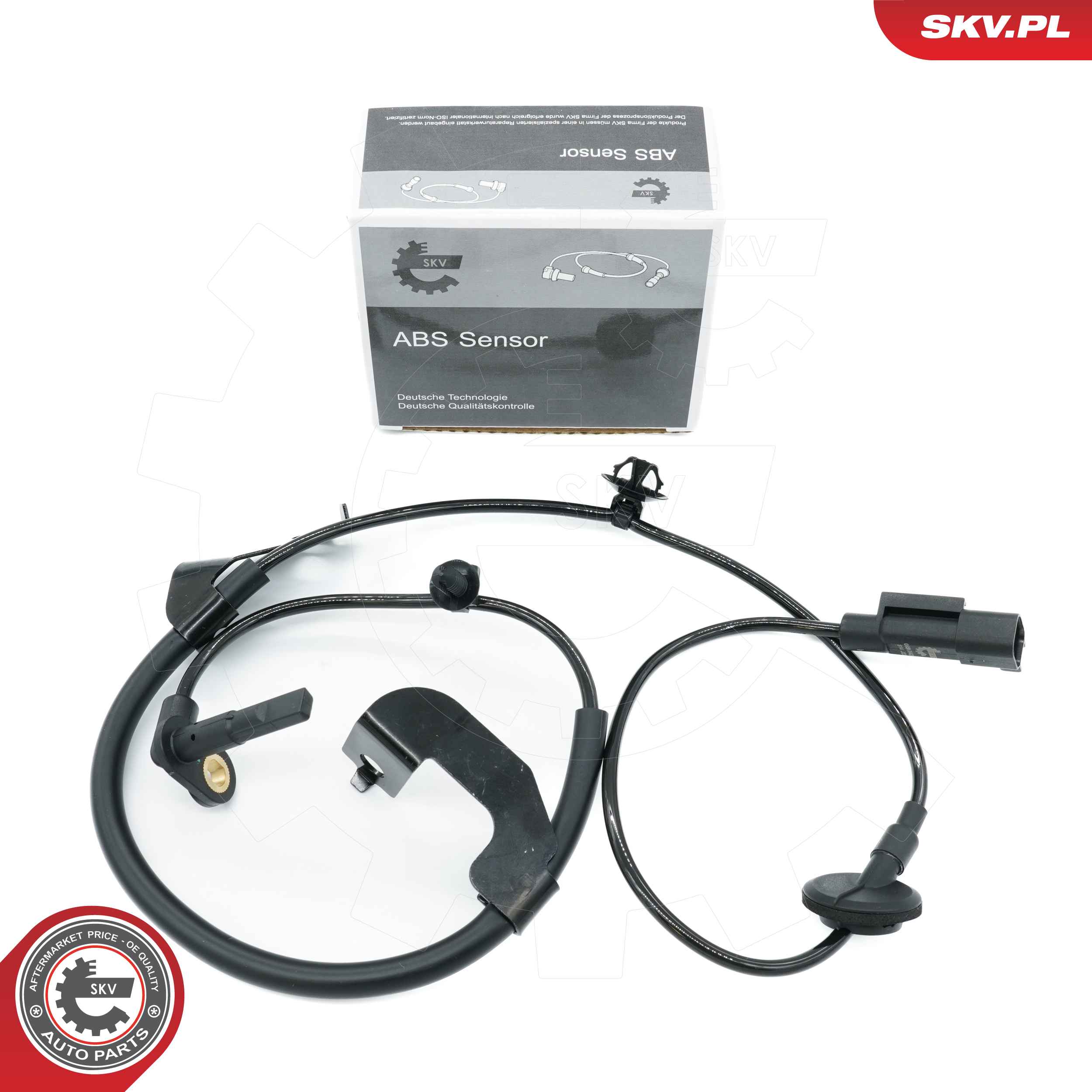 06SKV434