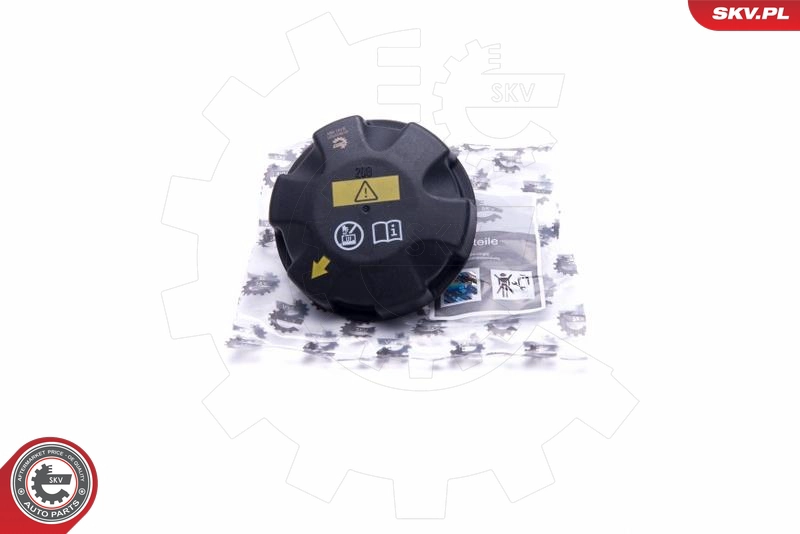 61SKV001