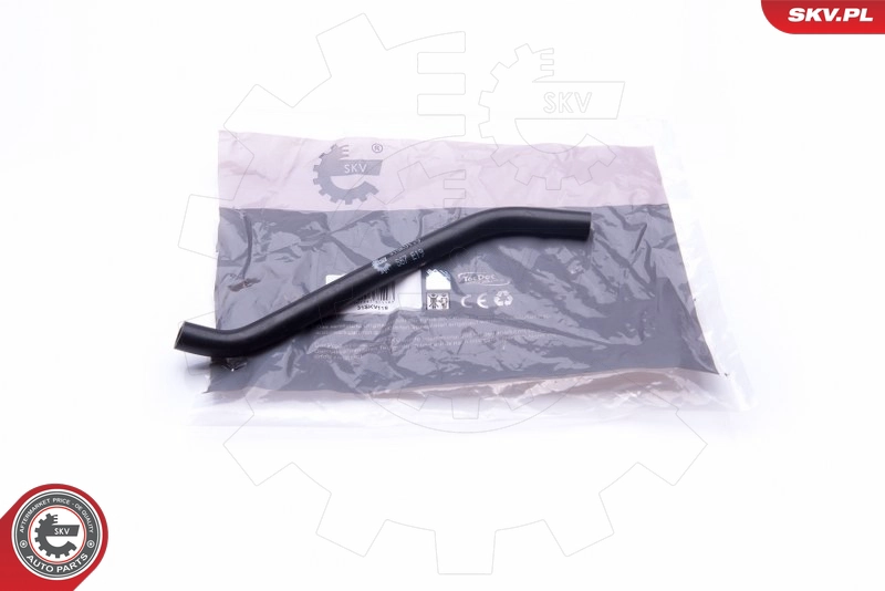31SKV119