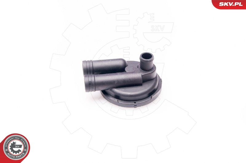 31SKV011