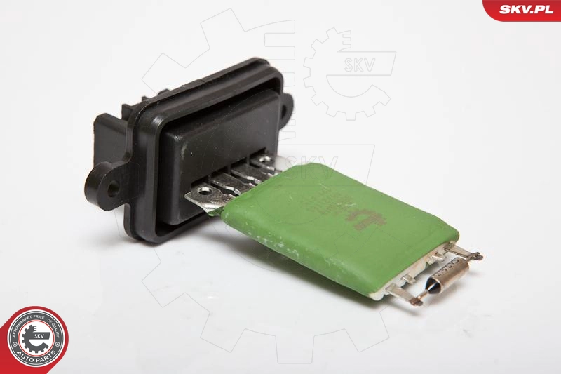 95SKV018
