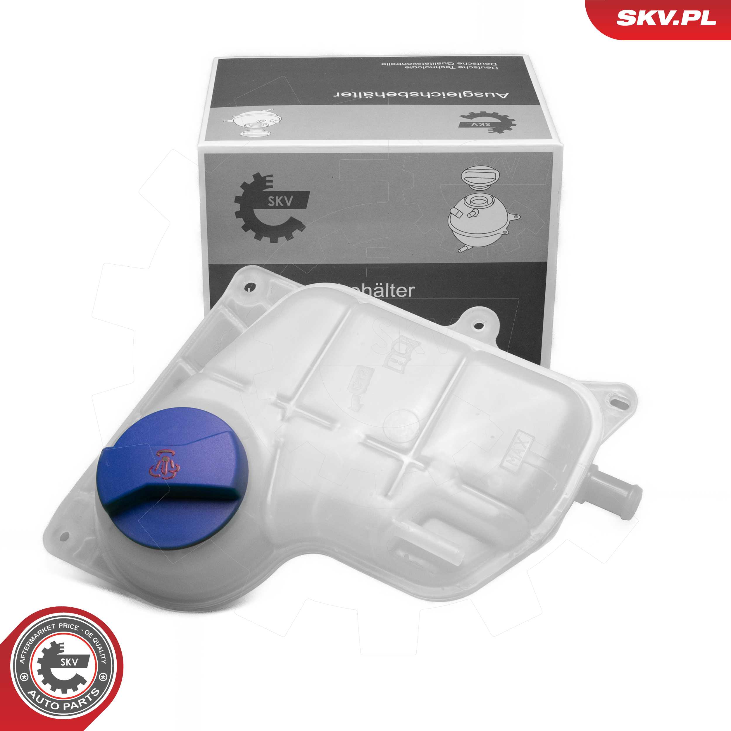 61SKV302