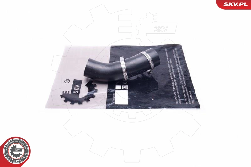 54SKV069